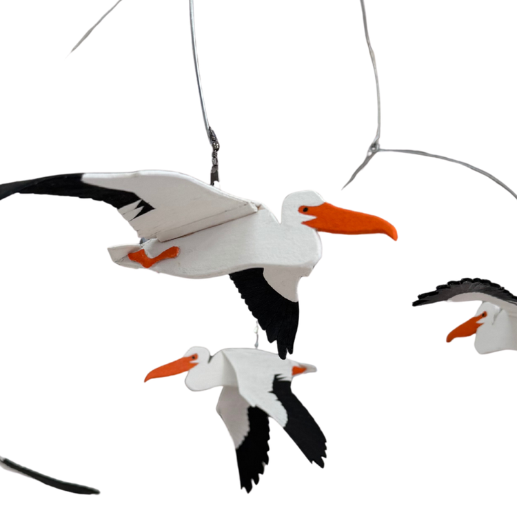 Jocelyn Thornton | Pelican Mobile