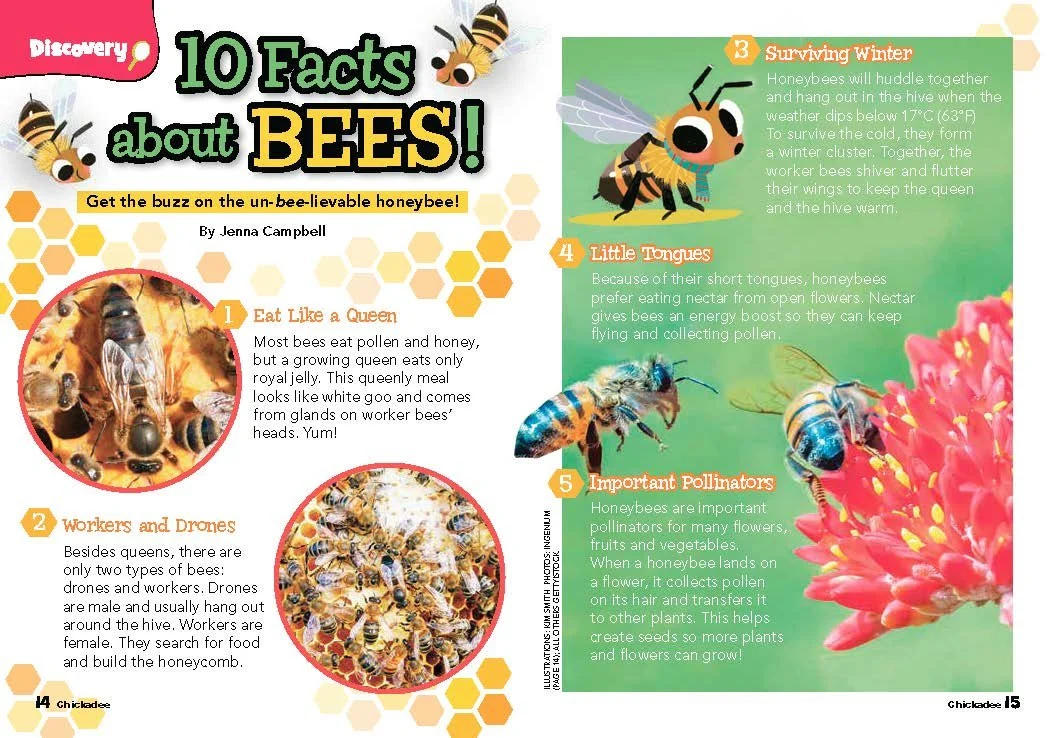 10 Facts About Bees!