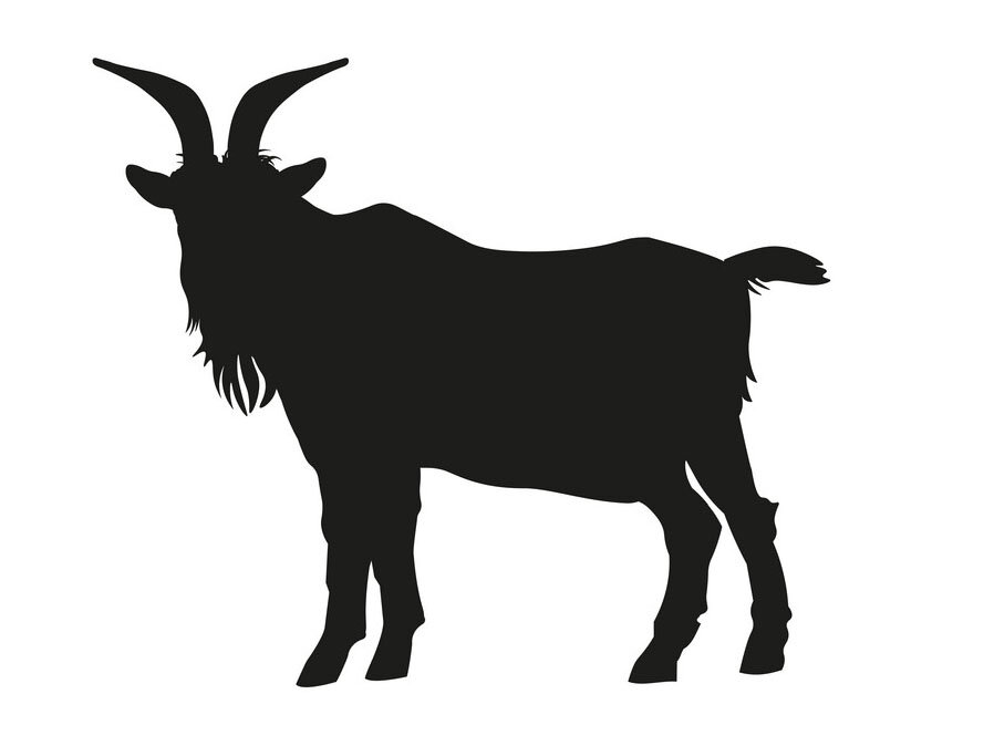 black-silhouette-goat-standing-side-view-vector-30598373 copy.jpg