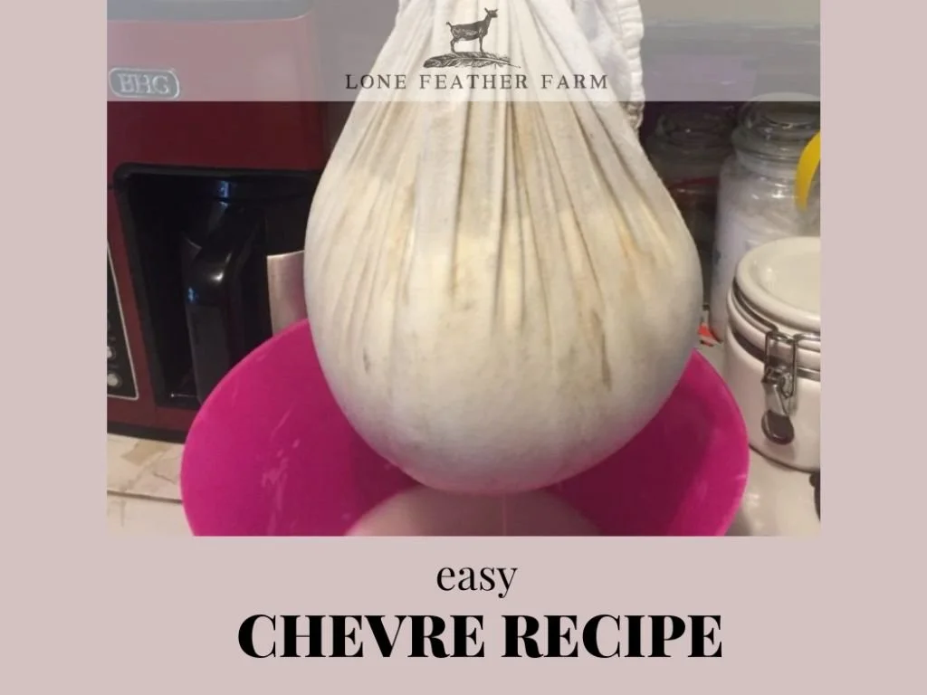 Easy Chevre Recipe — Lone Feather Farm