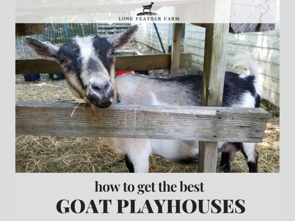 Goat Playhouses — Lone Feather Farm
