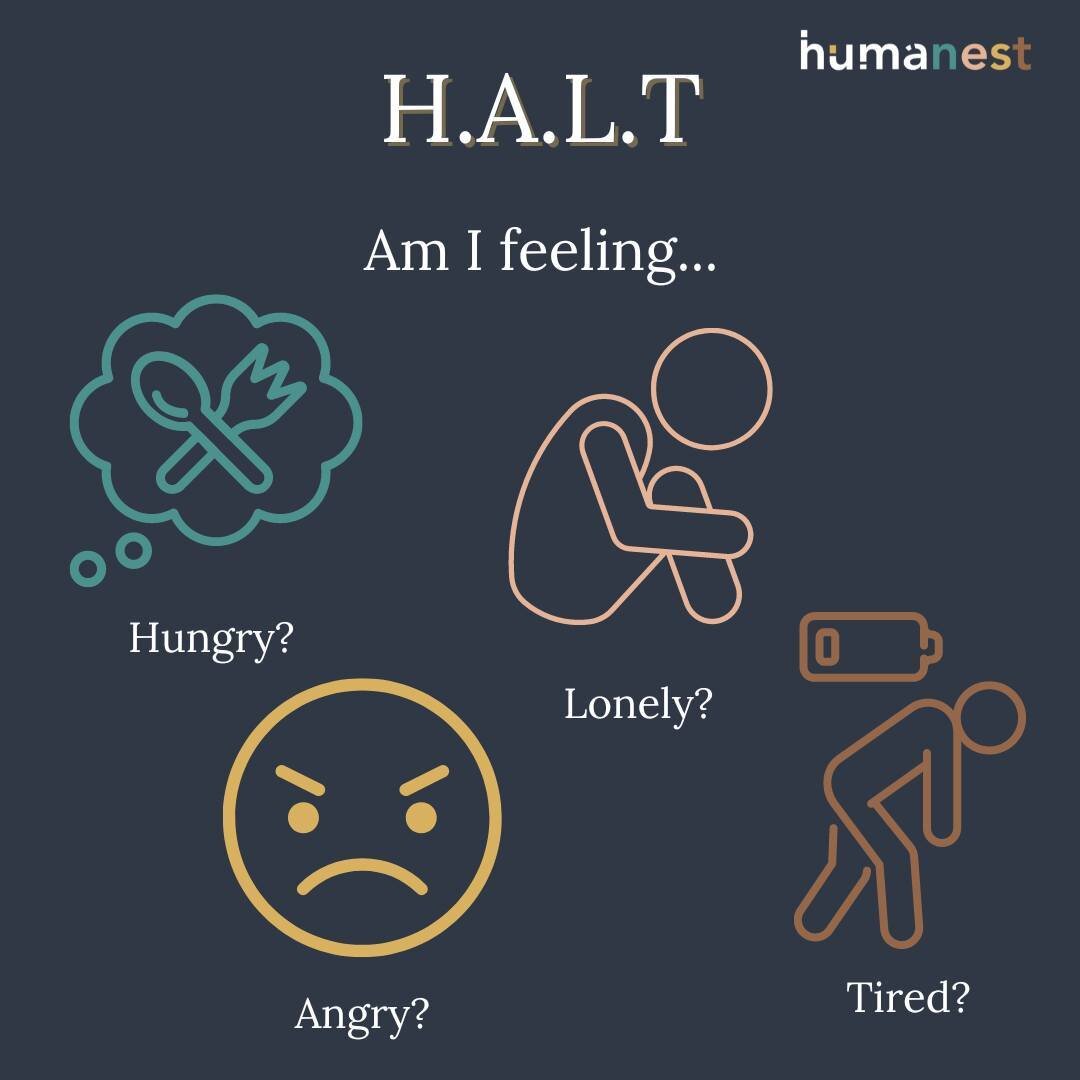 Simple yet effective, the acronym HALT reminds us to check in with ourselves, to be gentle, and kind to ourselves, and to nourish ourselves with the basic needs that allow us to thrive. Our bodies are designed to tell us exactly what we need, but too