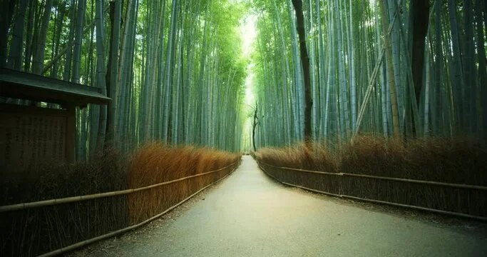 Standing Out: Benefits of 4k & 8k Stock Video Footage