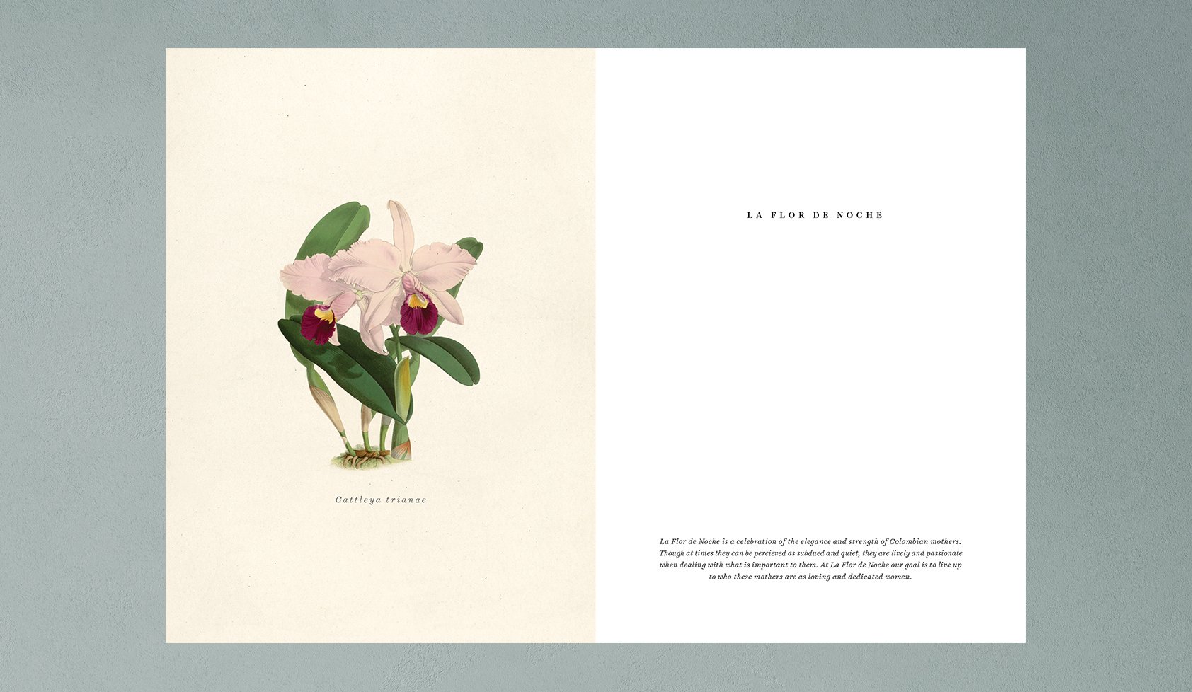 LaFlor_Book_Final_Spreads_1.jpg