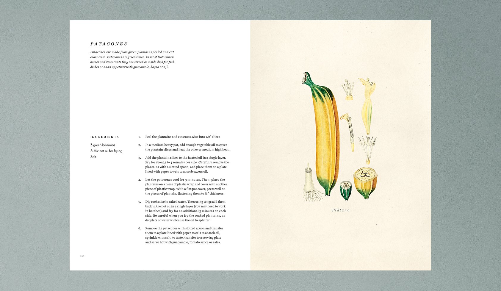 LaFlor_Book_Final_Spreads_4.jpg