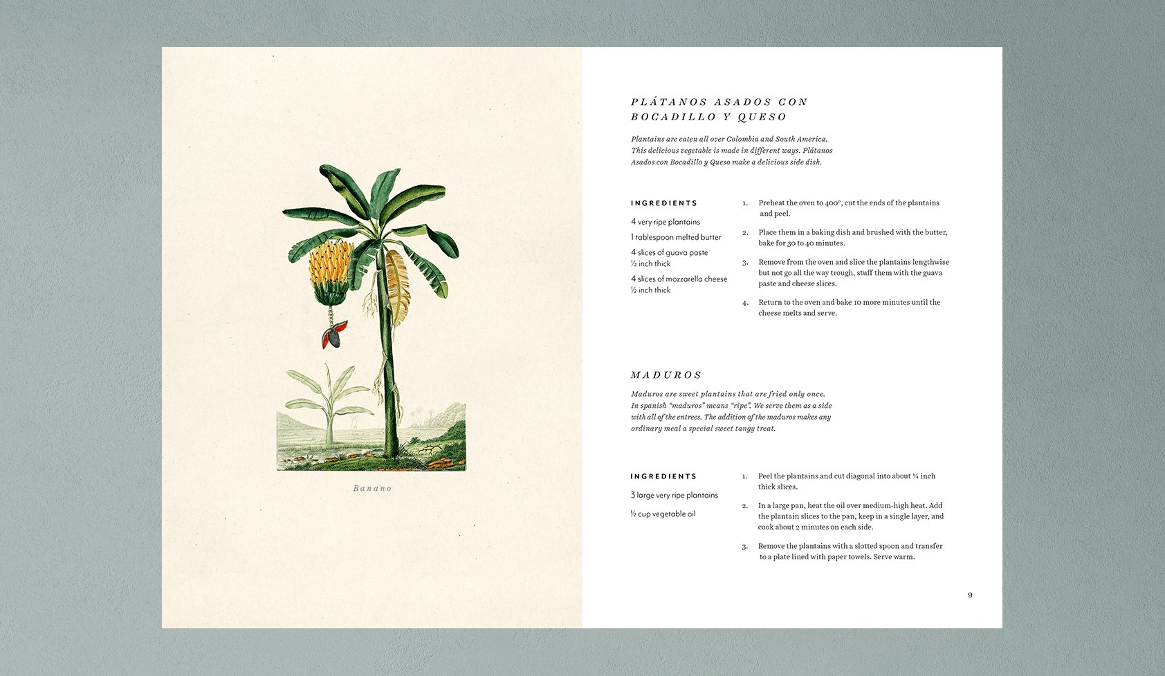 LaFlor_Book_Final_Spreads_3.jpg
