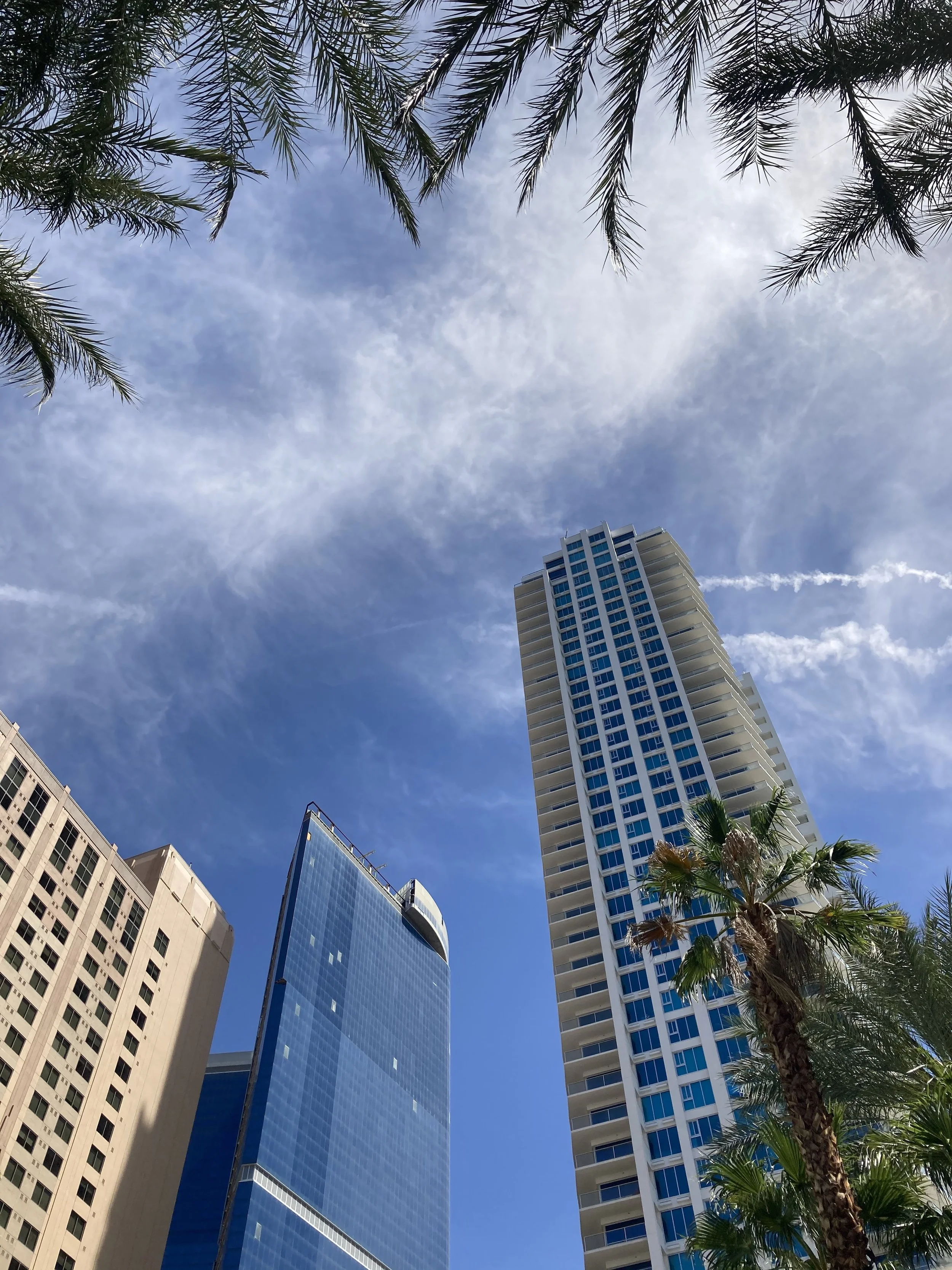 Internationally Recognized Technical Project Management Services