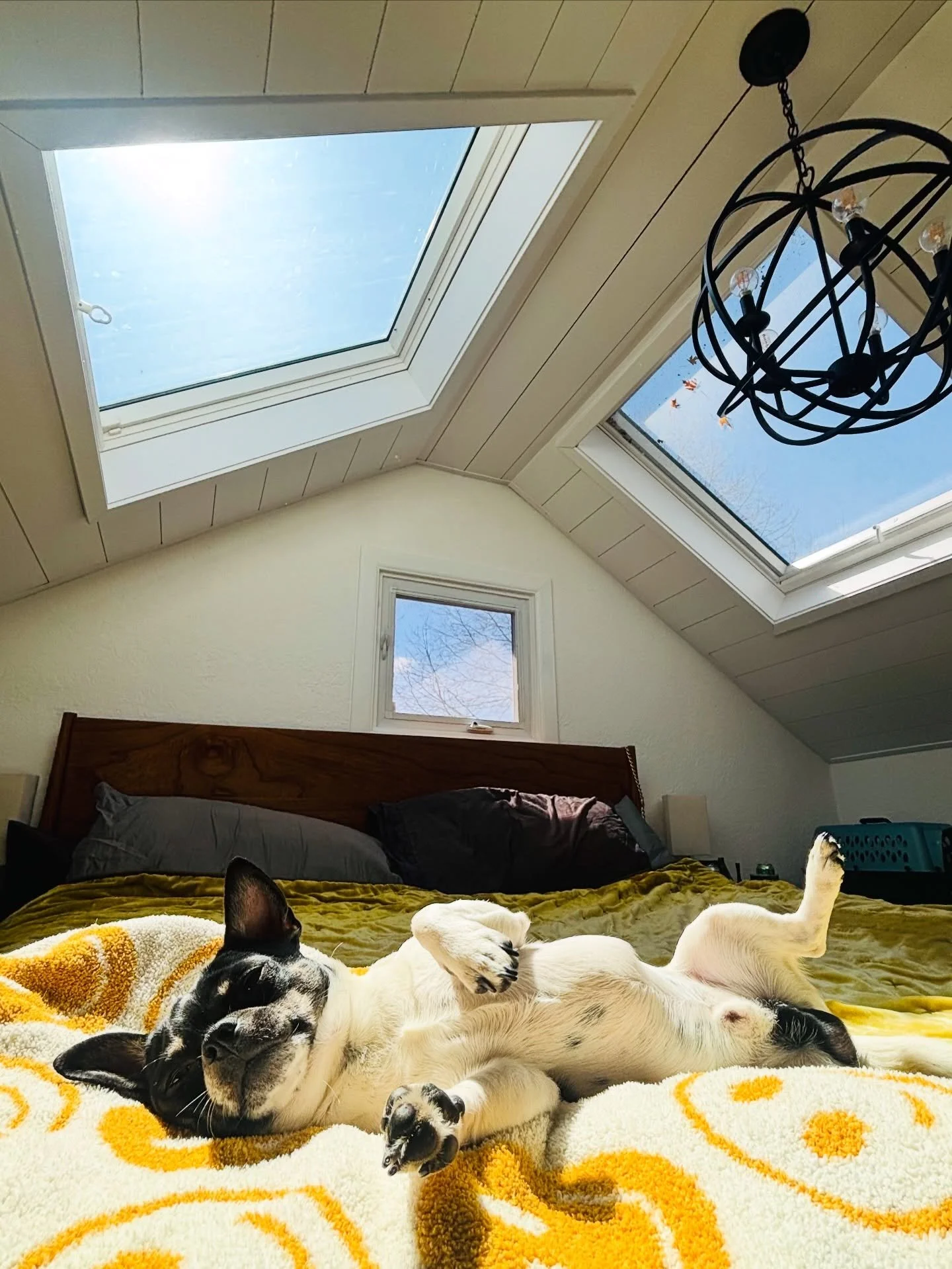 Solar powered doorbell charging 🐾🔌&hellip; beneath the oversized skylights and ceiling designed by JWR. JWR is here for all your custom home renovations. Click the link https://jwr.homes and fill out our short form to get started with us today! #sk