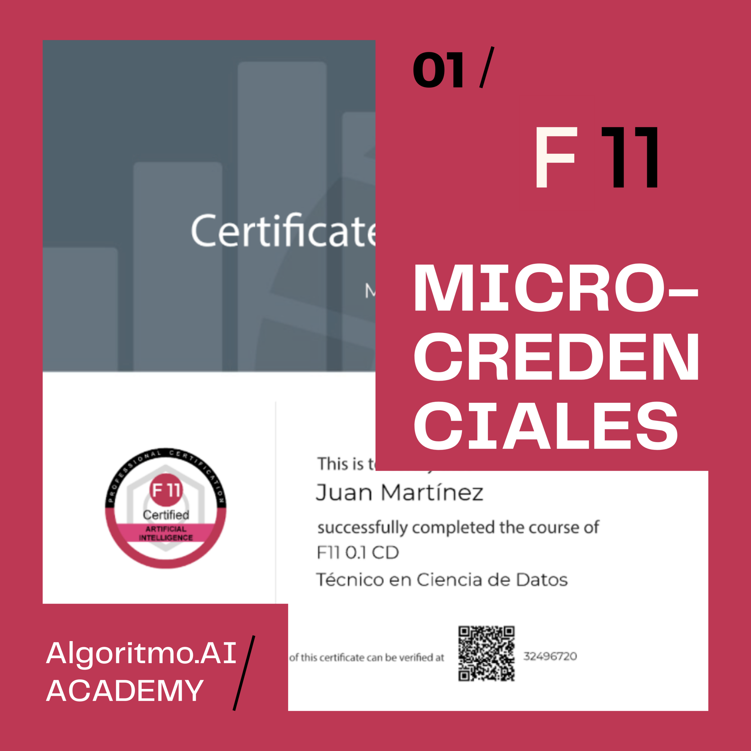 Programa F11