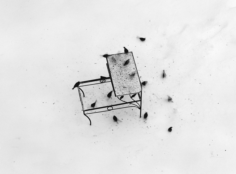Copy of 7 Table _ Birds in Snow.jpg