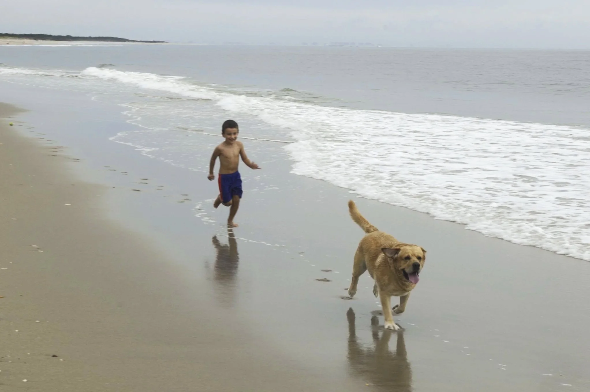 Boy+and+Dog+copy.jpg