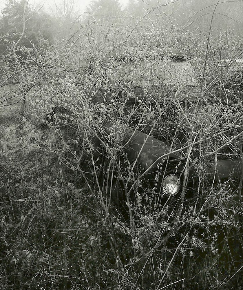 Copy of 17 Truck in Weeds.jpg