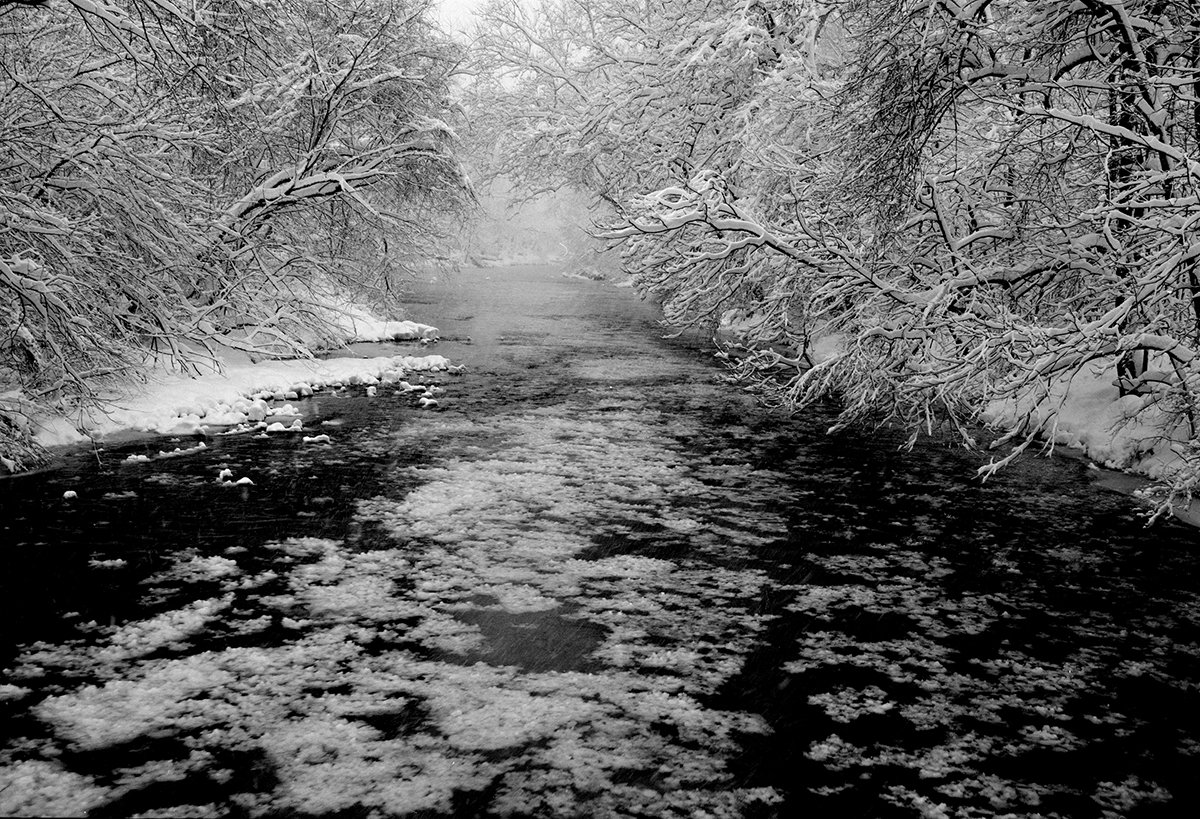 River & Trees in Snow copy 2.jpg