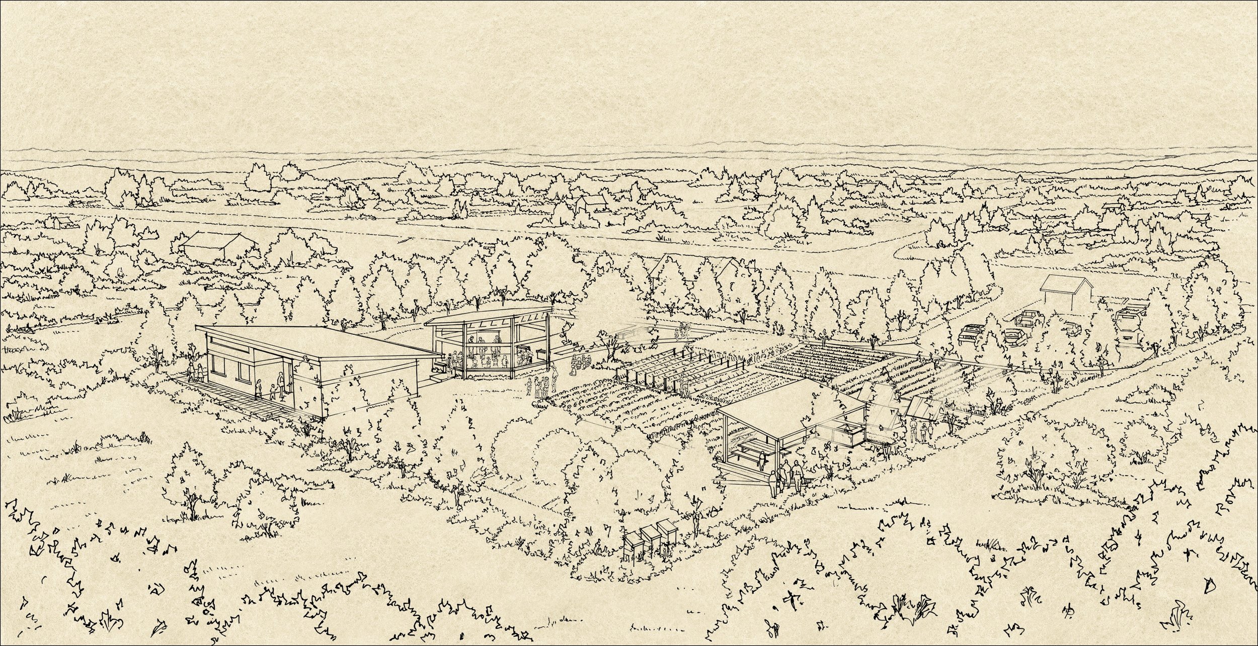 Past Work-44.jpg