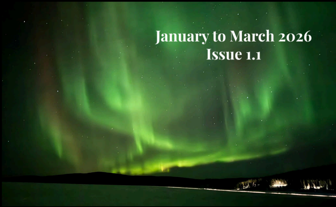 Newsletter: Issue 1.1