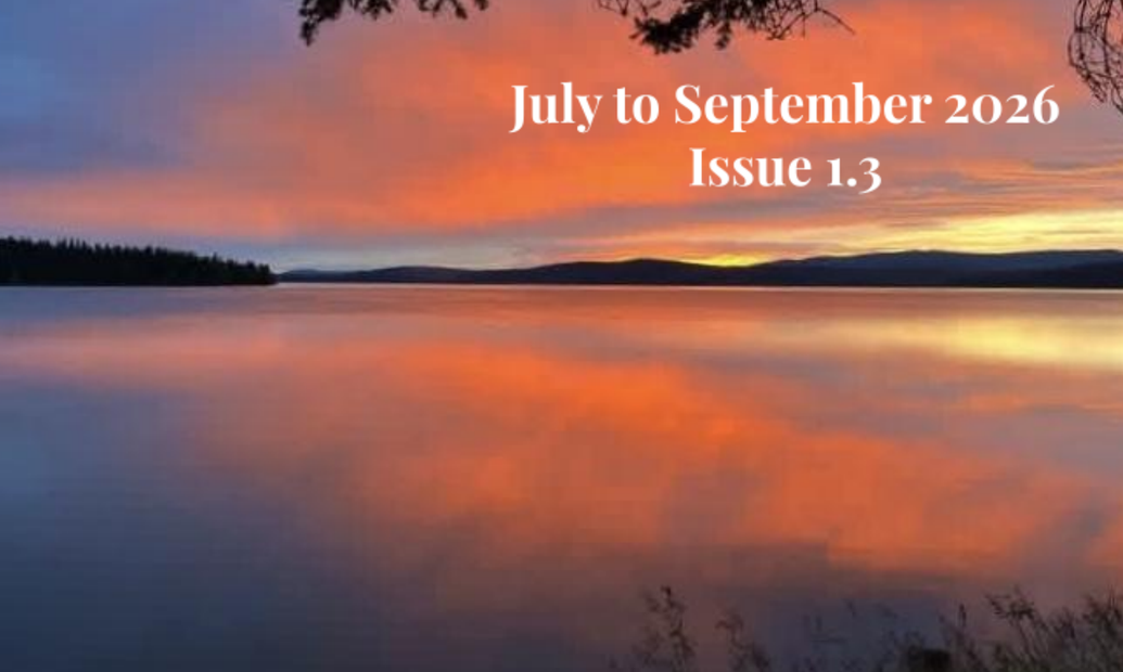 Newsletter - Issue 1.3
