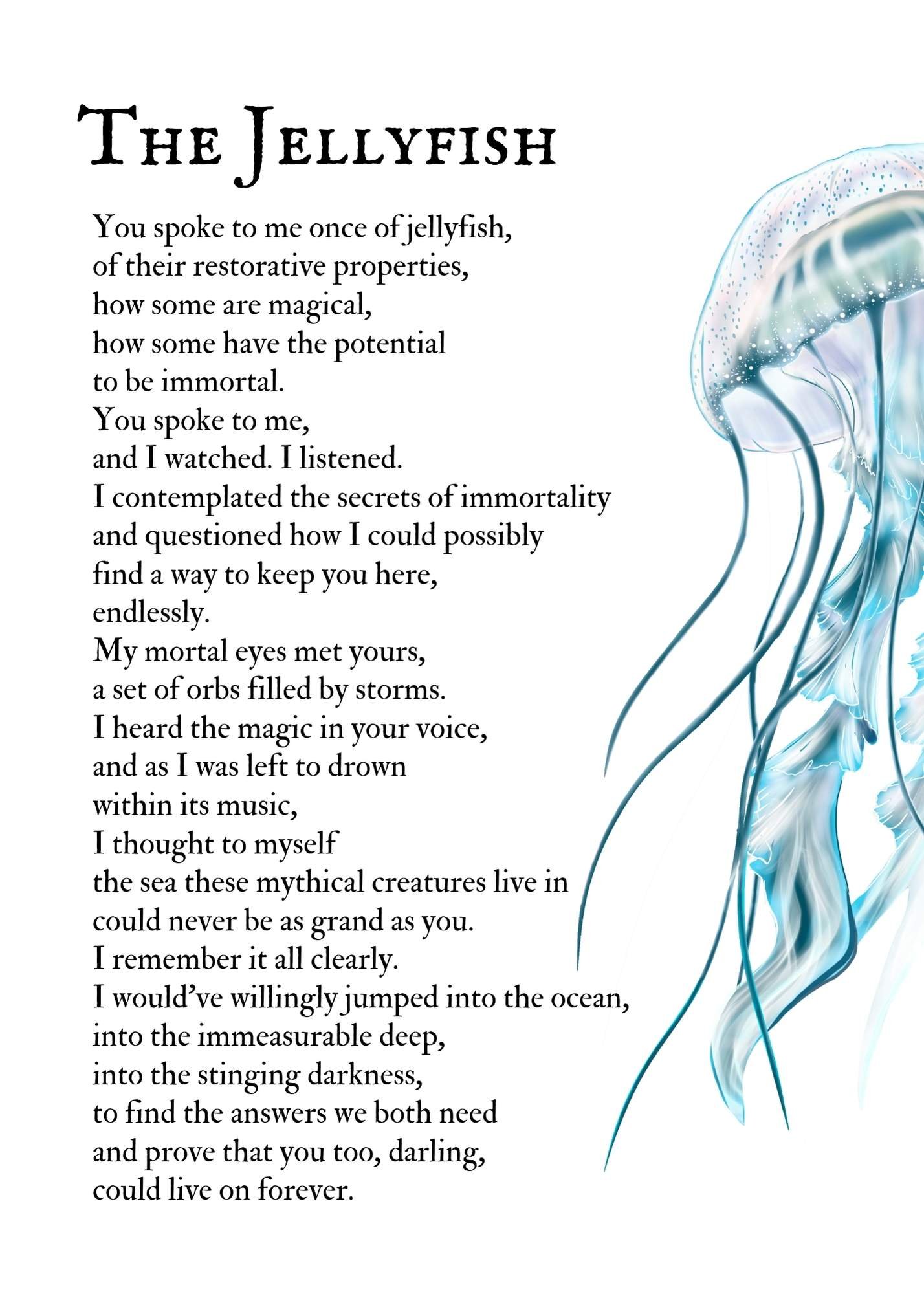 Jellyfish.jpg