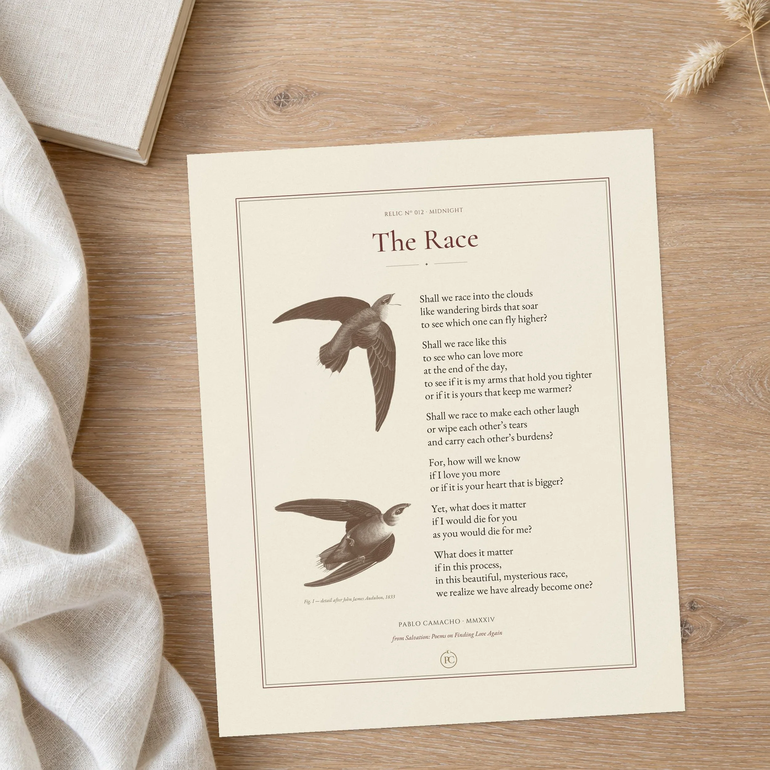 The Race poem print on textured fine-art paper, with two swifts after John James Audubon