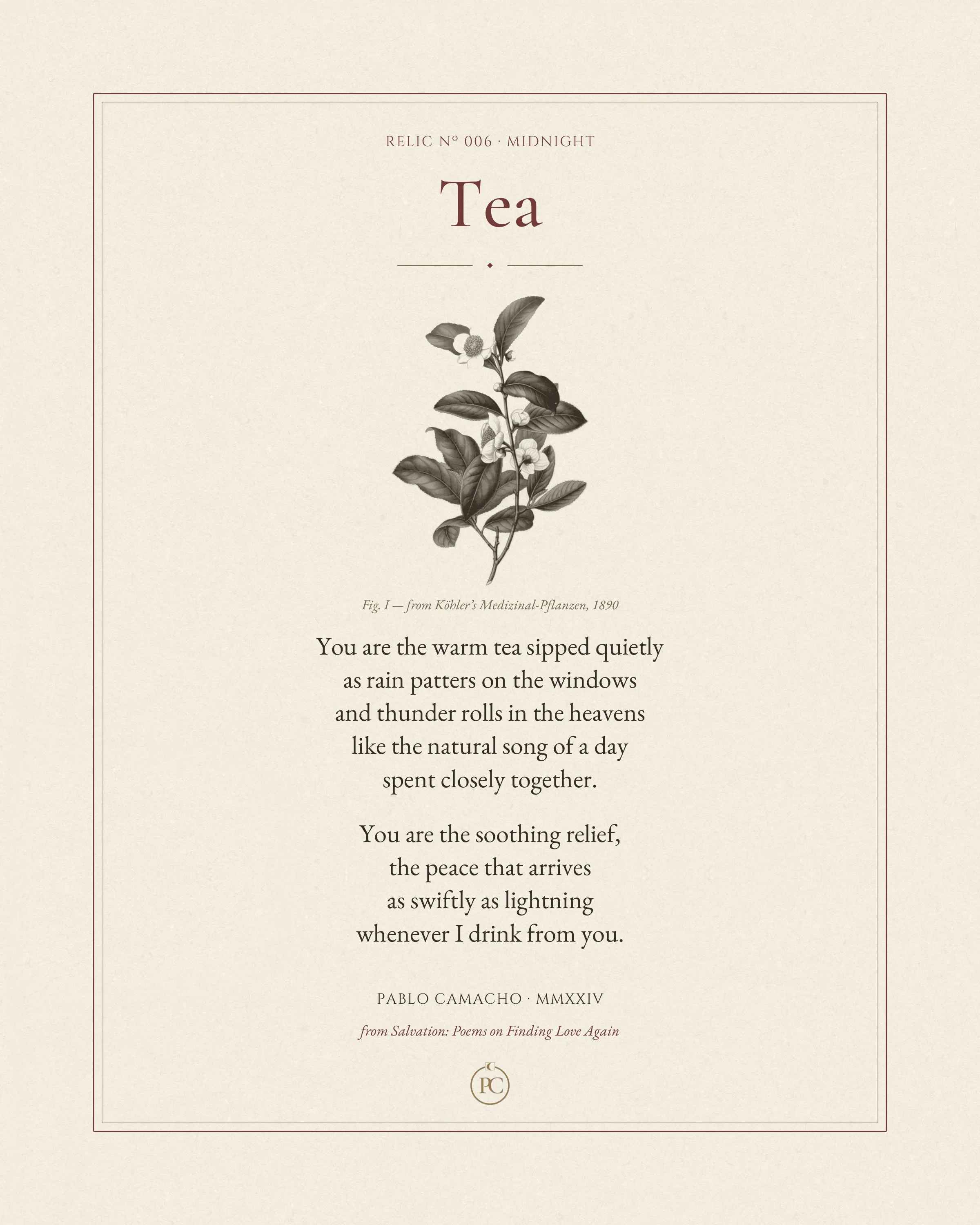 Tea poem by Pablo Camacho, full print with an antique tea-plant botanical illustration