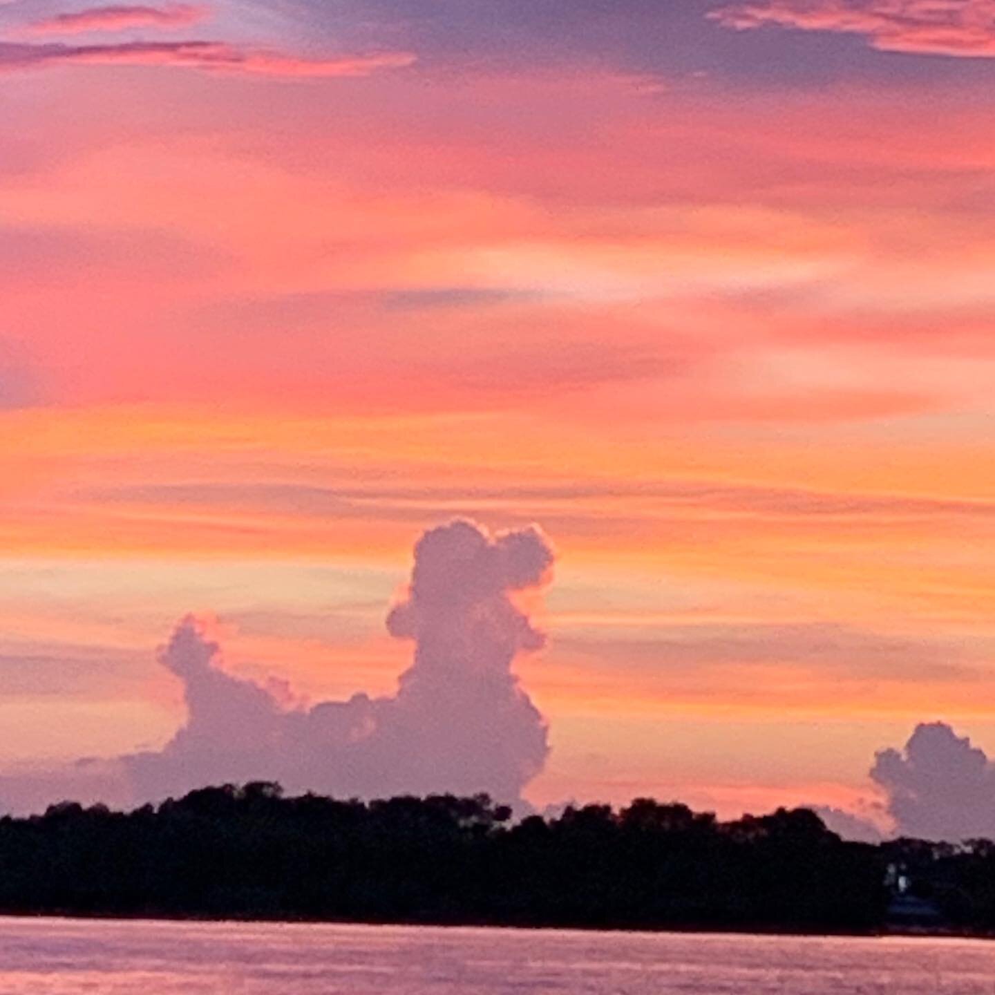 Being curious about whatever is happening is the best and easiest way to join the now. Look what inhabited our sky for a sunset viewing.  Take a moment and look really look at where and what you see now. Especially a little loved one in your presence