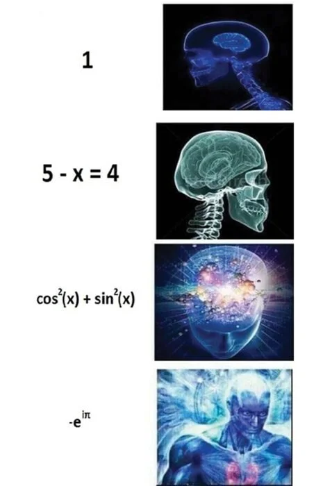 The popular “expanding brain” meme illustrates the various complications of the value 1 progressing from elementary algebra to Pythagorean identities and Euler’s identities.