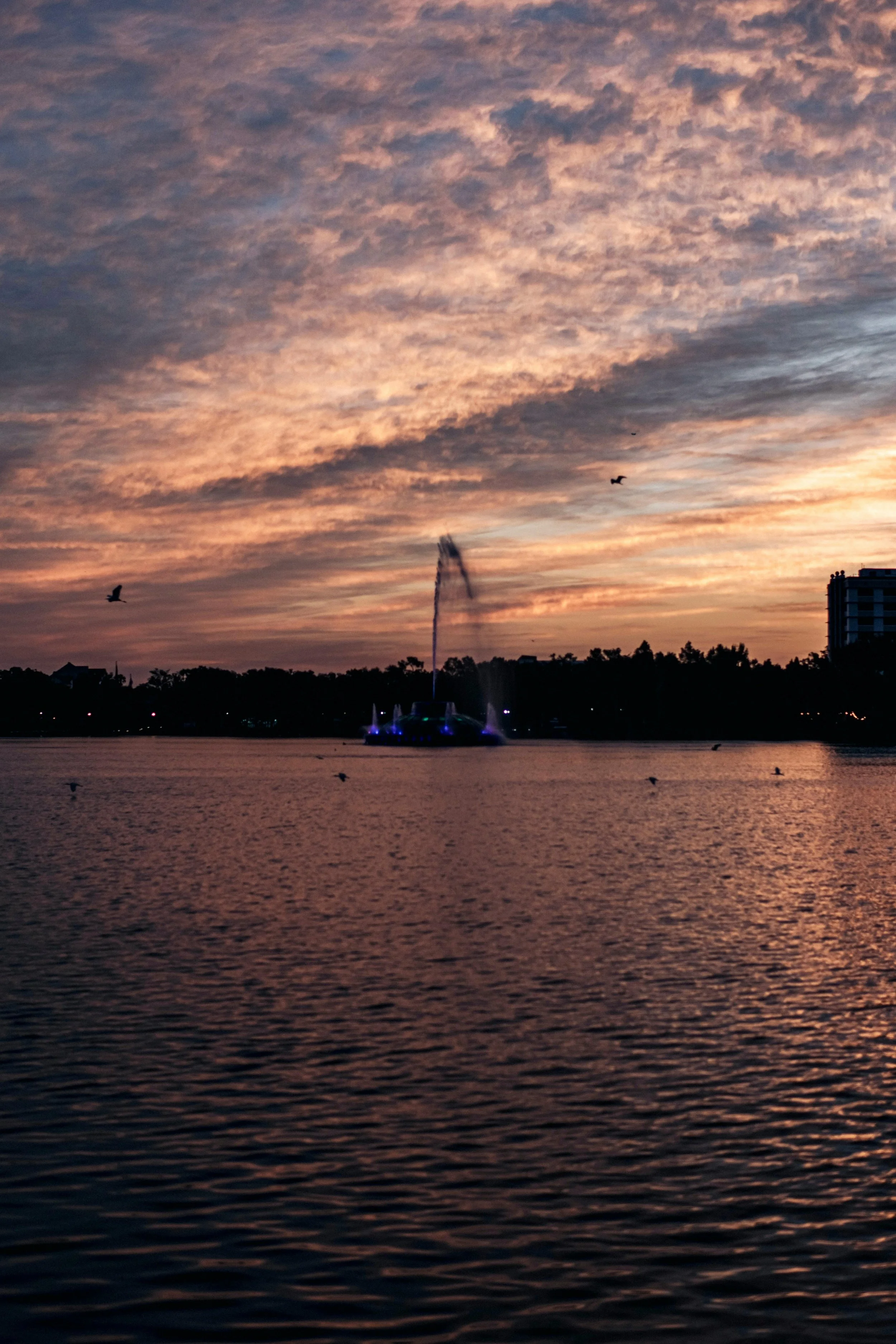 Photo by Connor Scott McManus: https://www.pexels.com/photo/a-sunset-over-a-lake-with-a-fountain-in-the-middle-14617475/