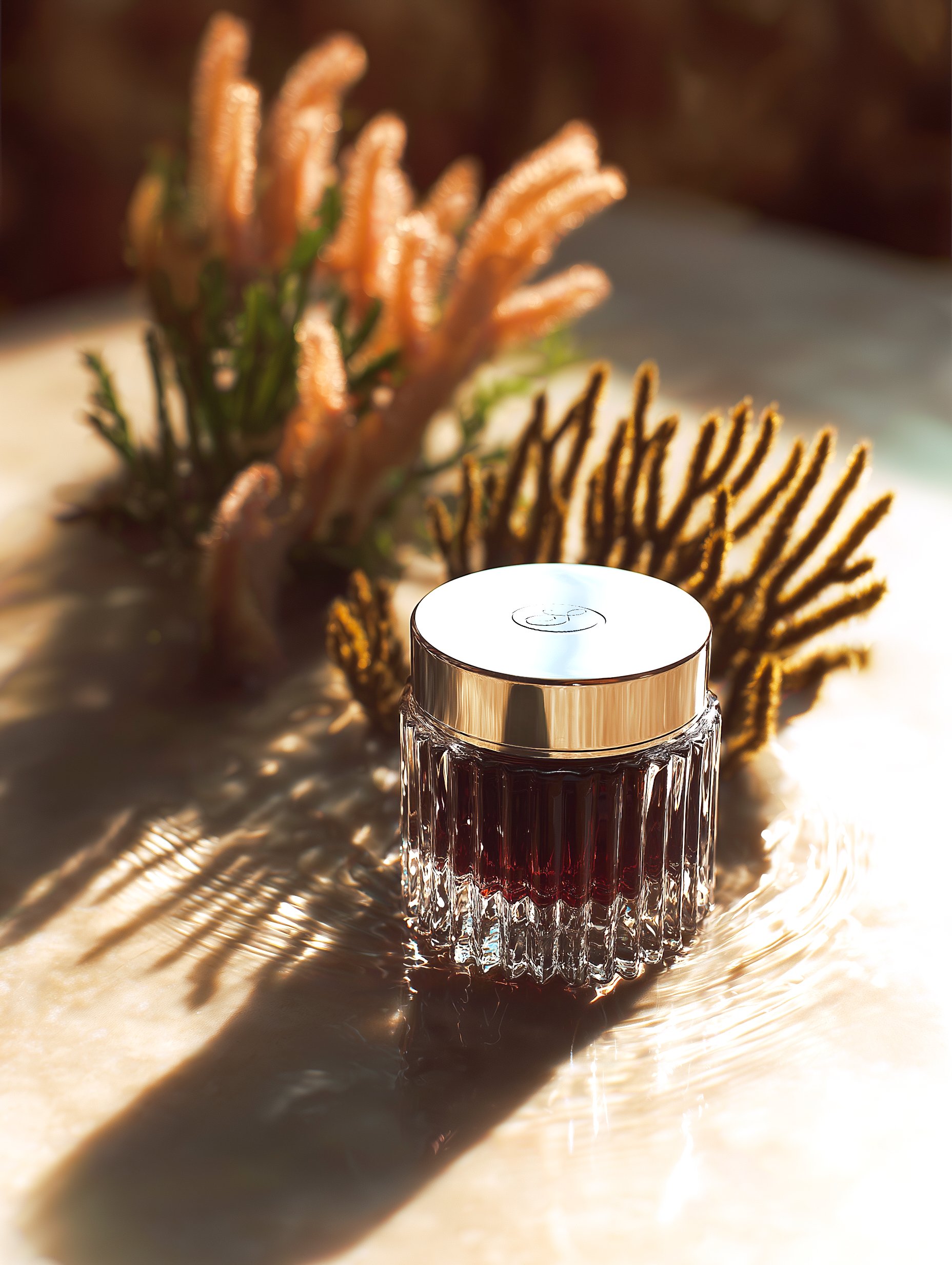 Voyage Editions: A Scented Ritual for Life at Sea