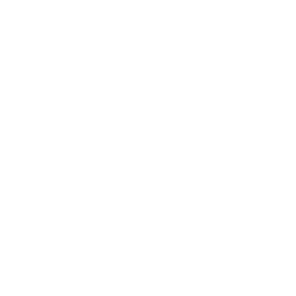 PEN UNDERWRITING