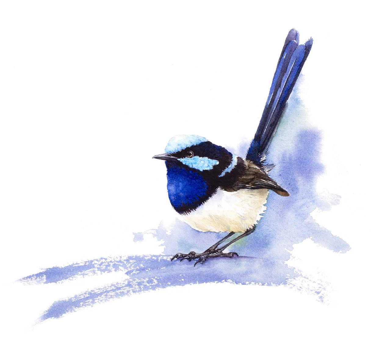 Katherine Carson Watercolour Workshop