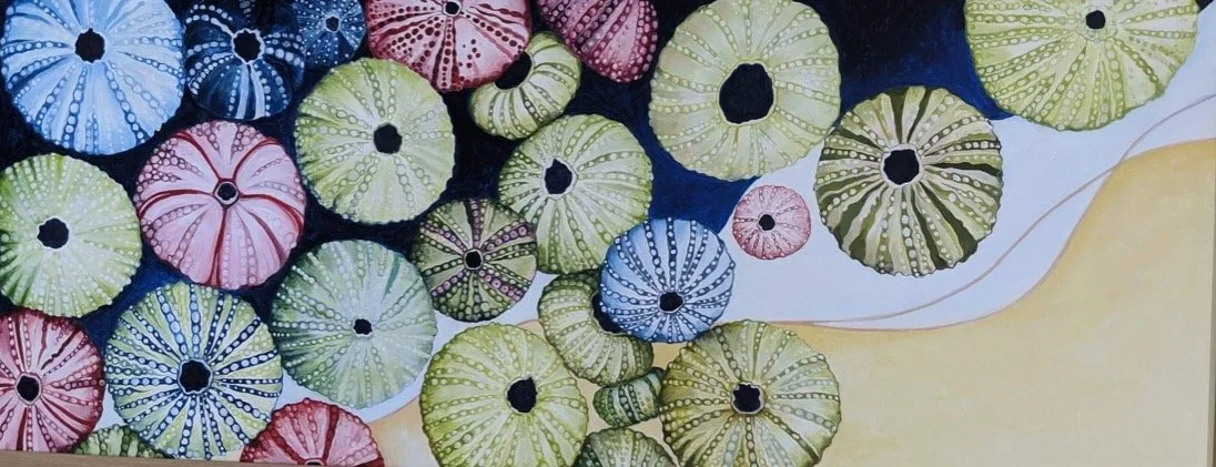 Jo Ellings Sea Urchins .JPG