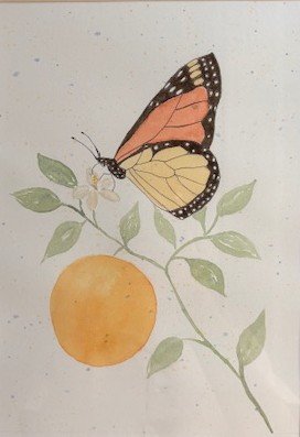 Feeding the Sunshine