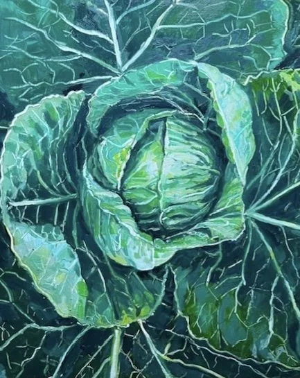 Cabbage