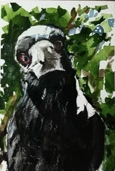 Magpie
