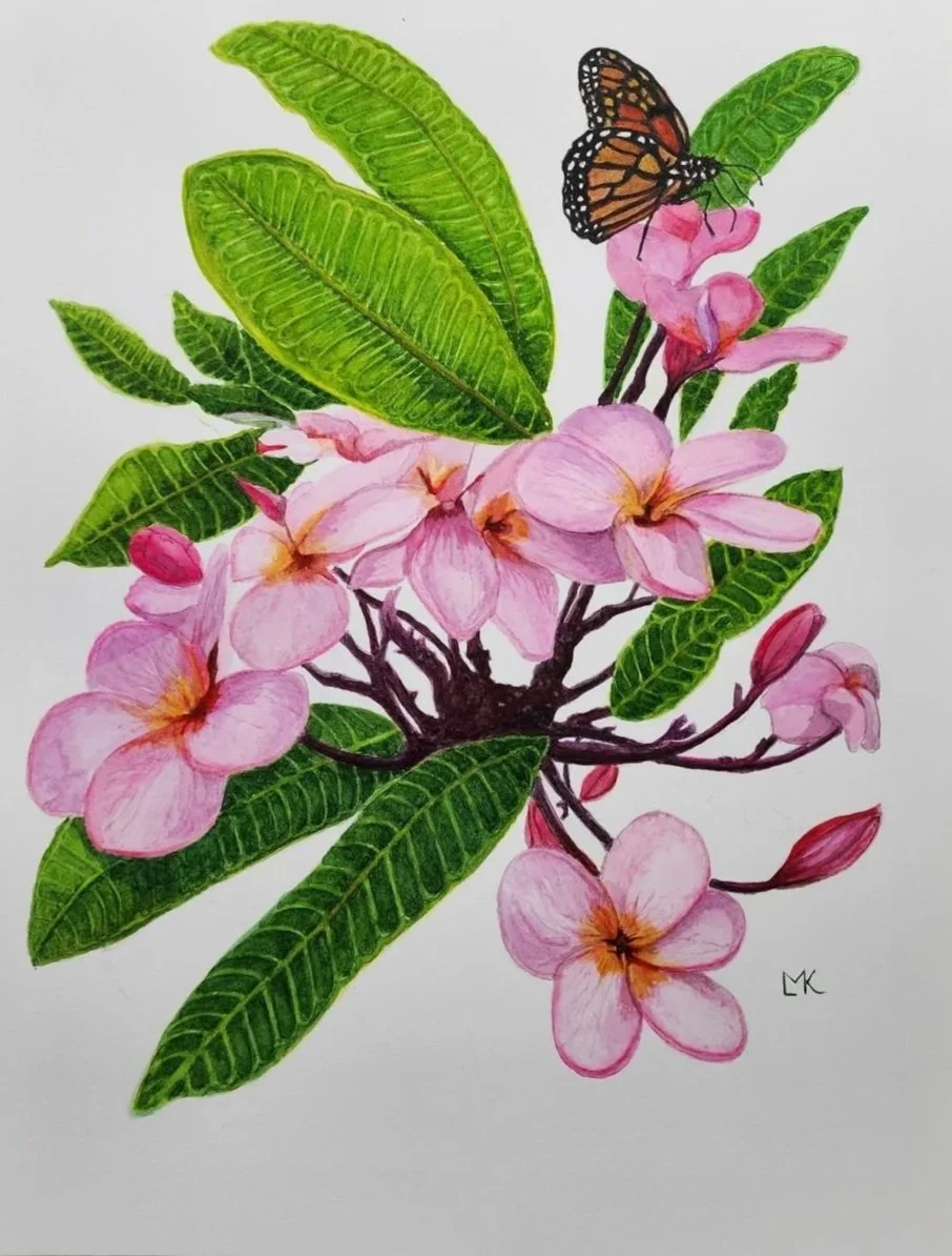 Pink Frangipani - Lombok