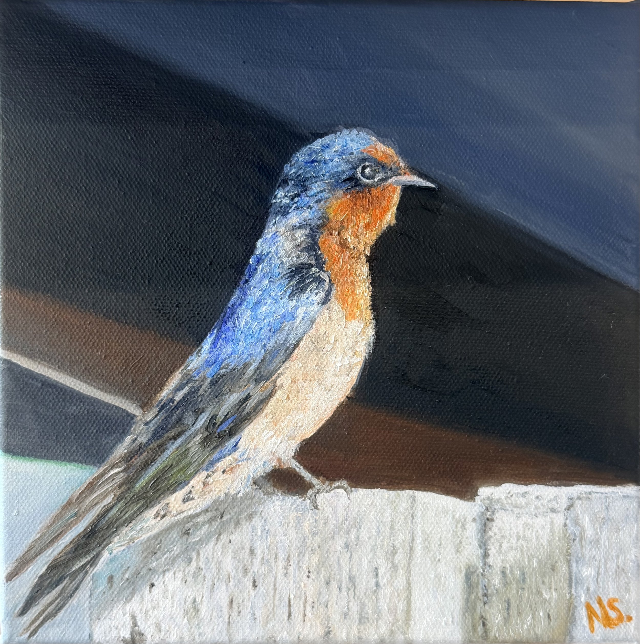 Swallow.jpeg