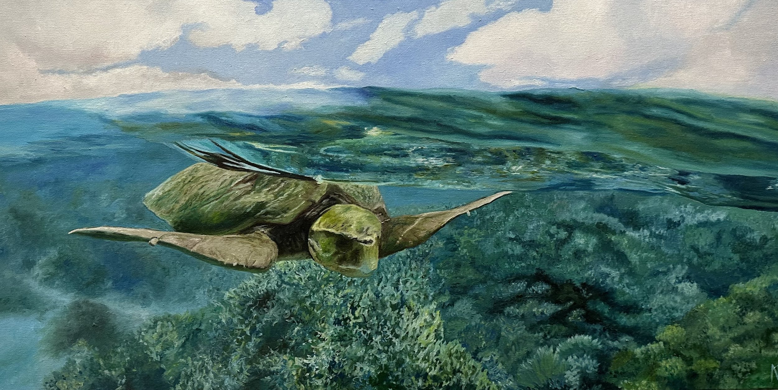 The Ladies Turtle