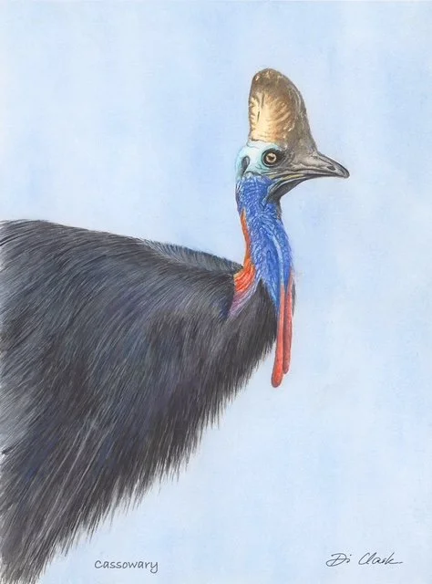 Cassowary