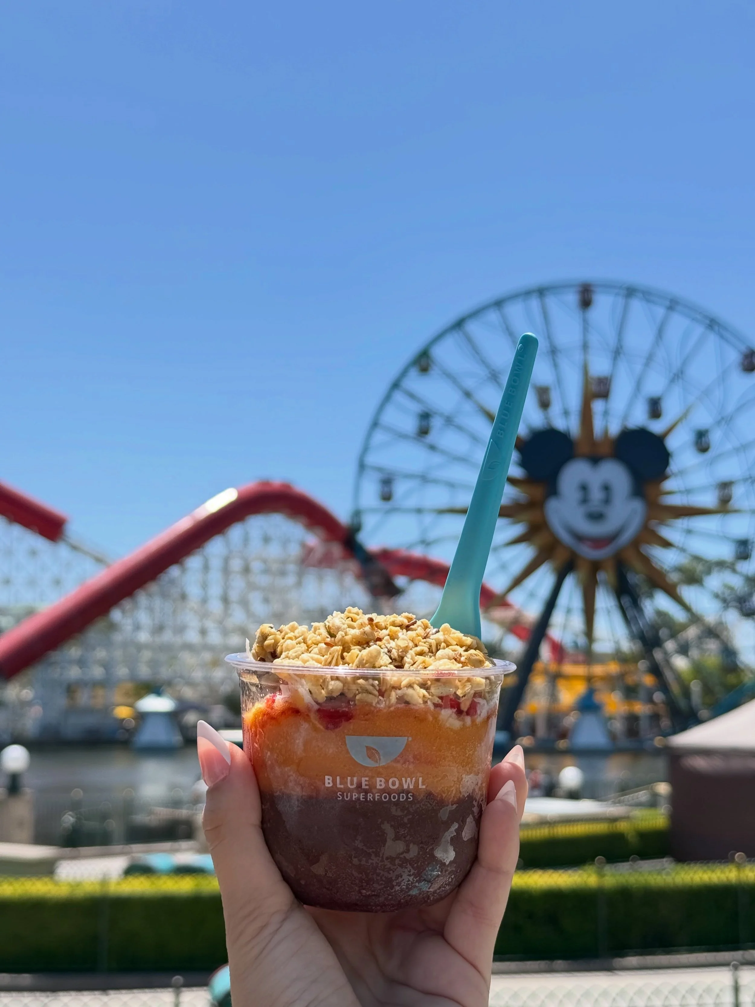 Blue Bowl at Disney California Adventure photo dump!🥣🎡☀️

Kids Rule Summer in Disney California Adventure &reg; Park at the Disneyland &reg; Resort in Anaheim, CA. Come check us out!🎡

#dca #disney #disneycaliforniaadventure #californiaadventure #