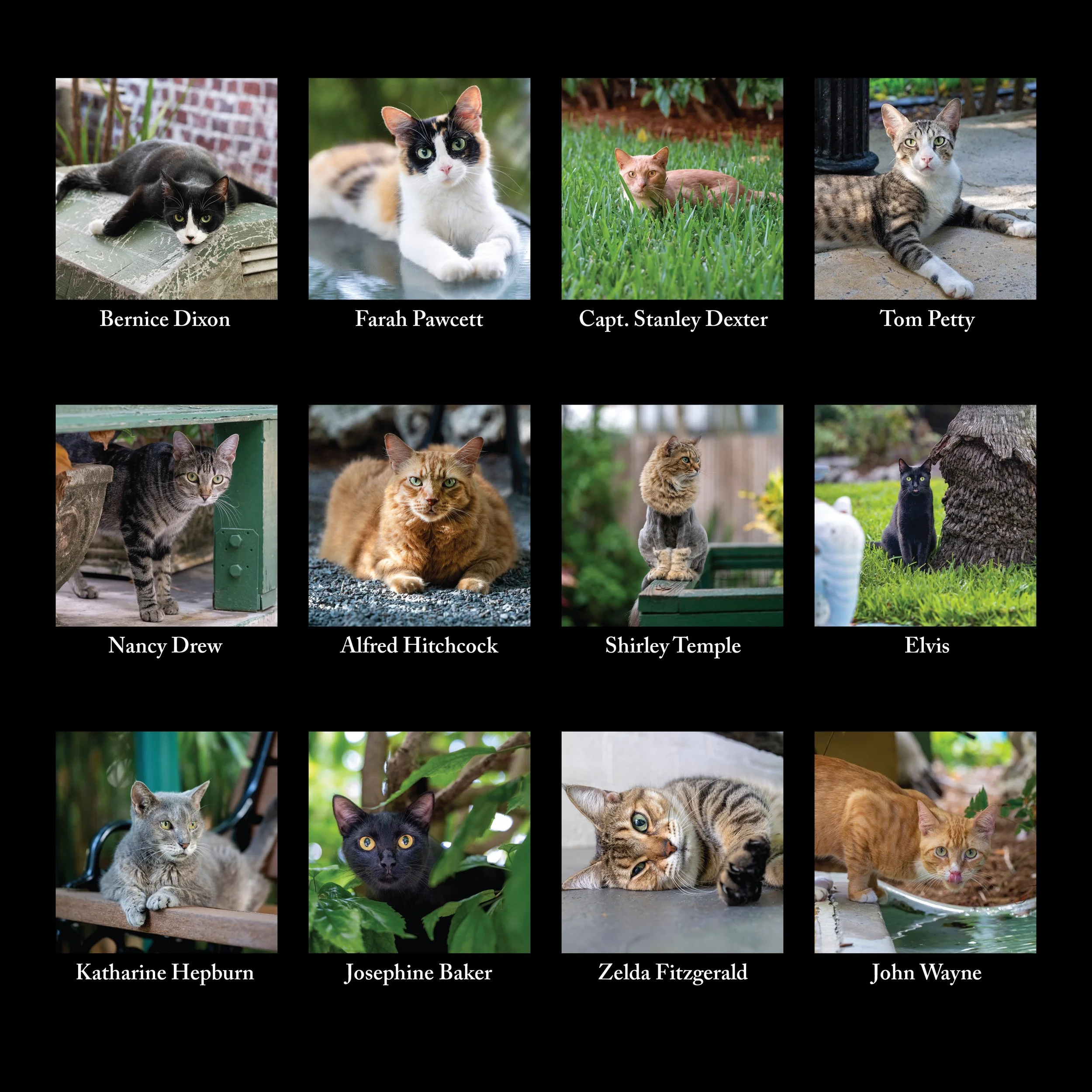Hemingway Calendar 2027 back.jpg