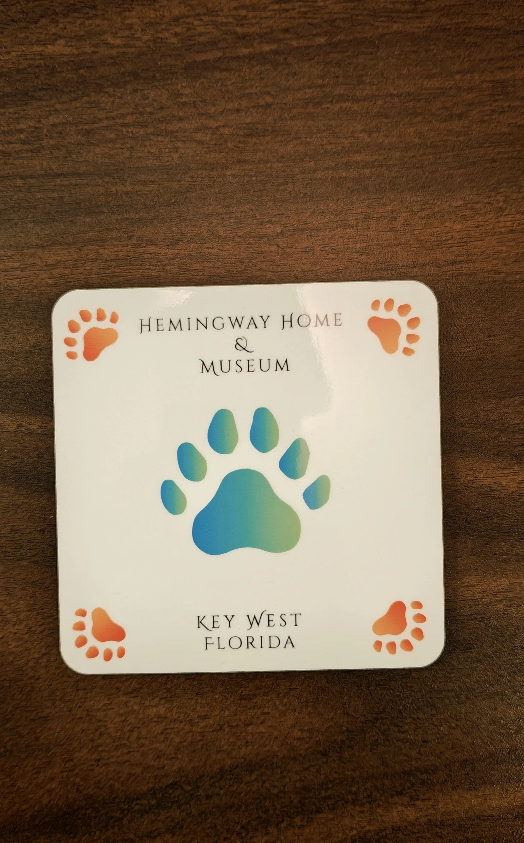907 Colorful Coaster.jpg