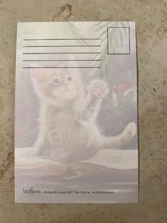 Cat, book postcard (Back).jpeg