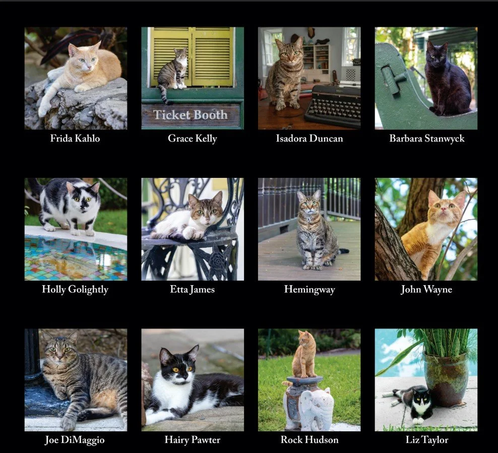 hemingway 2026 calendar back.jpg