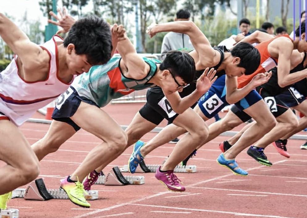 螢幕截圖 2024-07-28 10.37.04.png