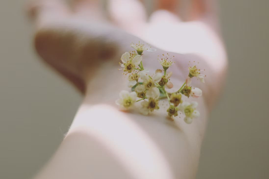 Release Through Pores