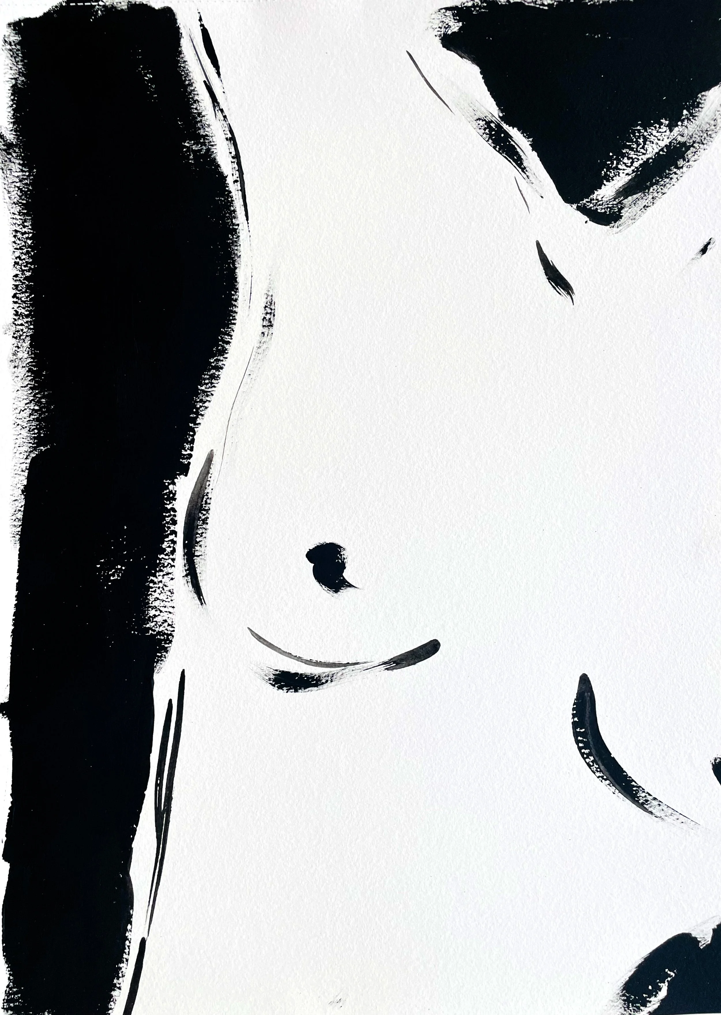Drawings