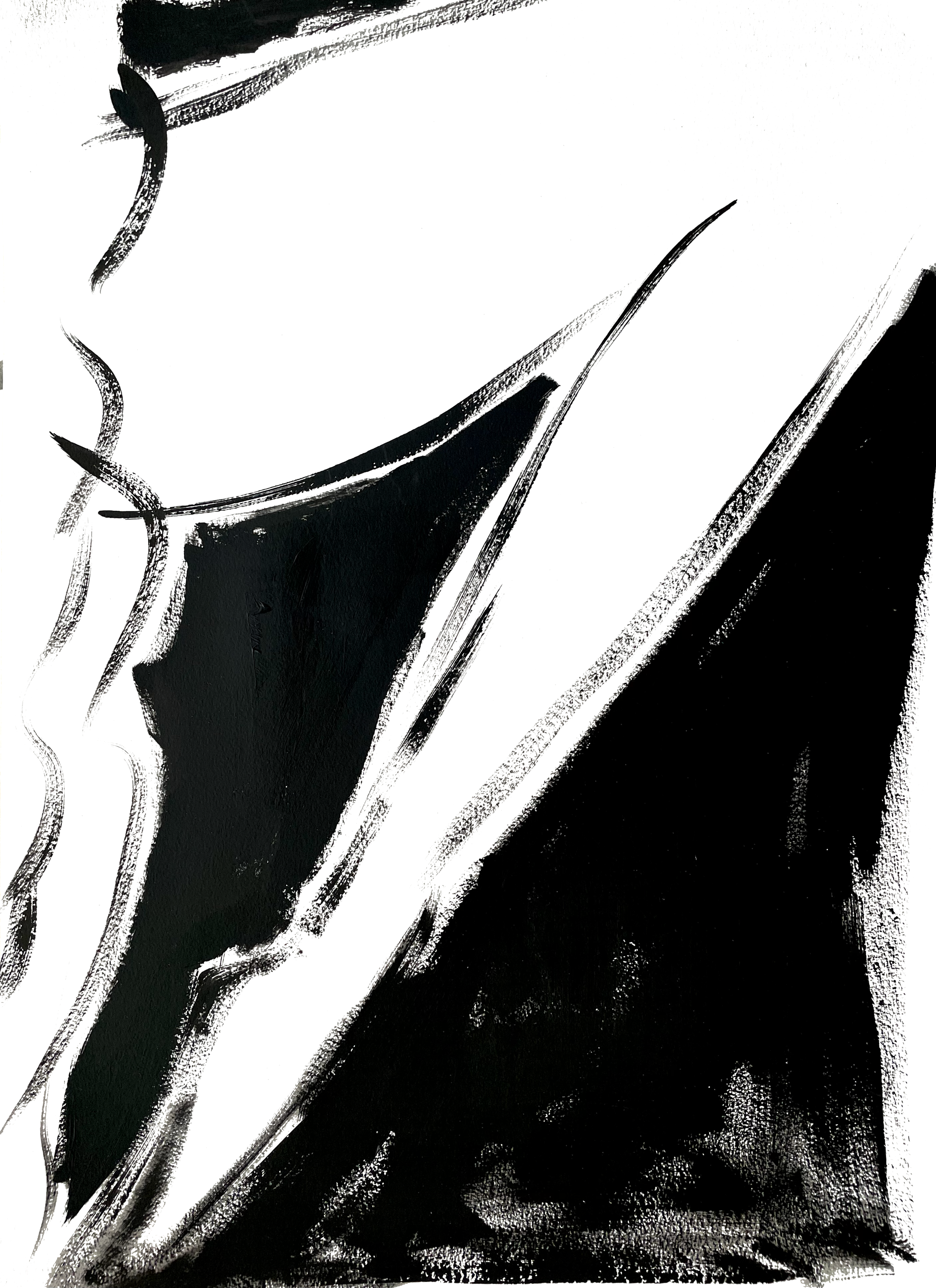 IMG_2528.png