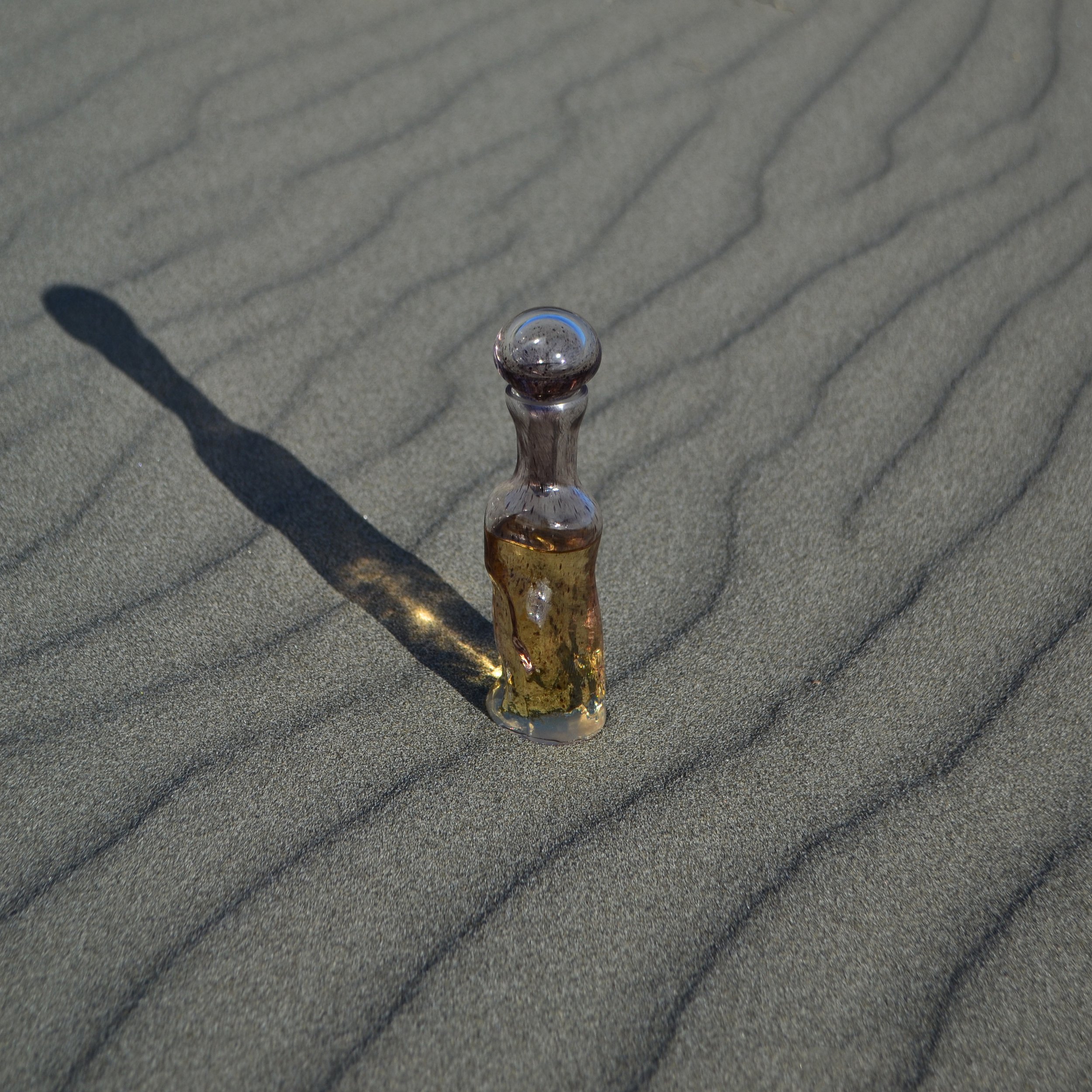 DSC_1875.jpeg