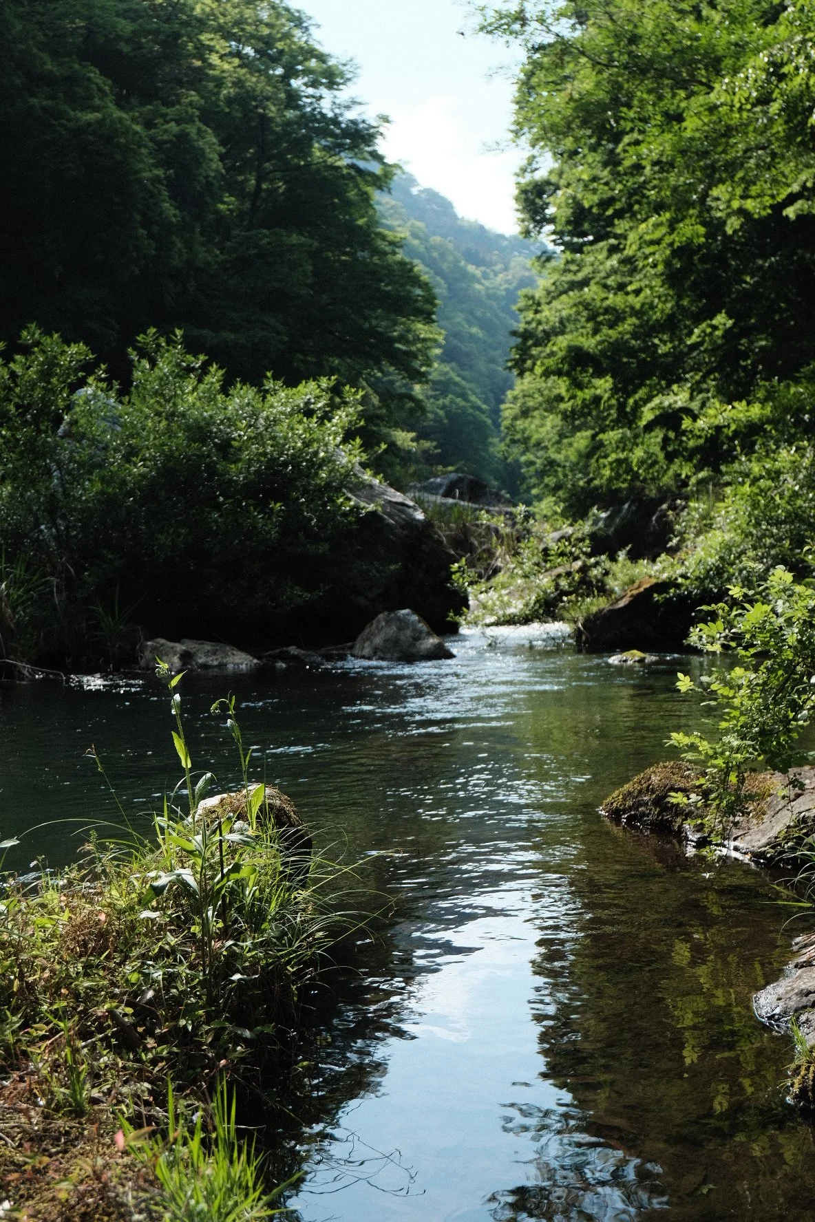 E6890486-88C6-4DAF-AE2A-507B930B24DE-622-0000000E5D882017.jpeg