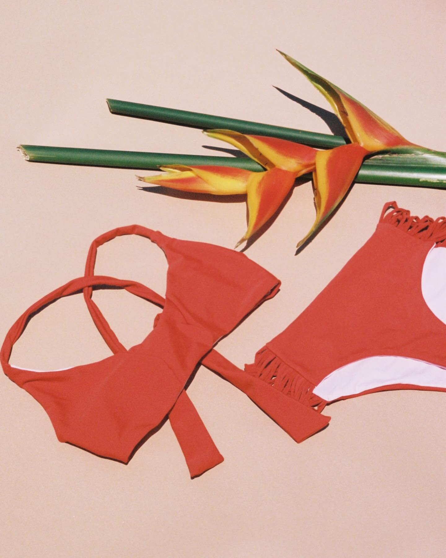Flat lays on film 🦞