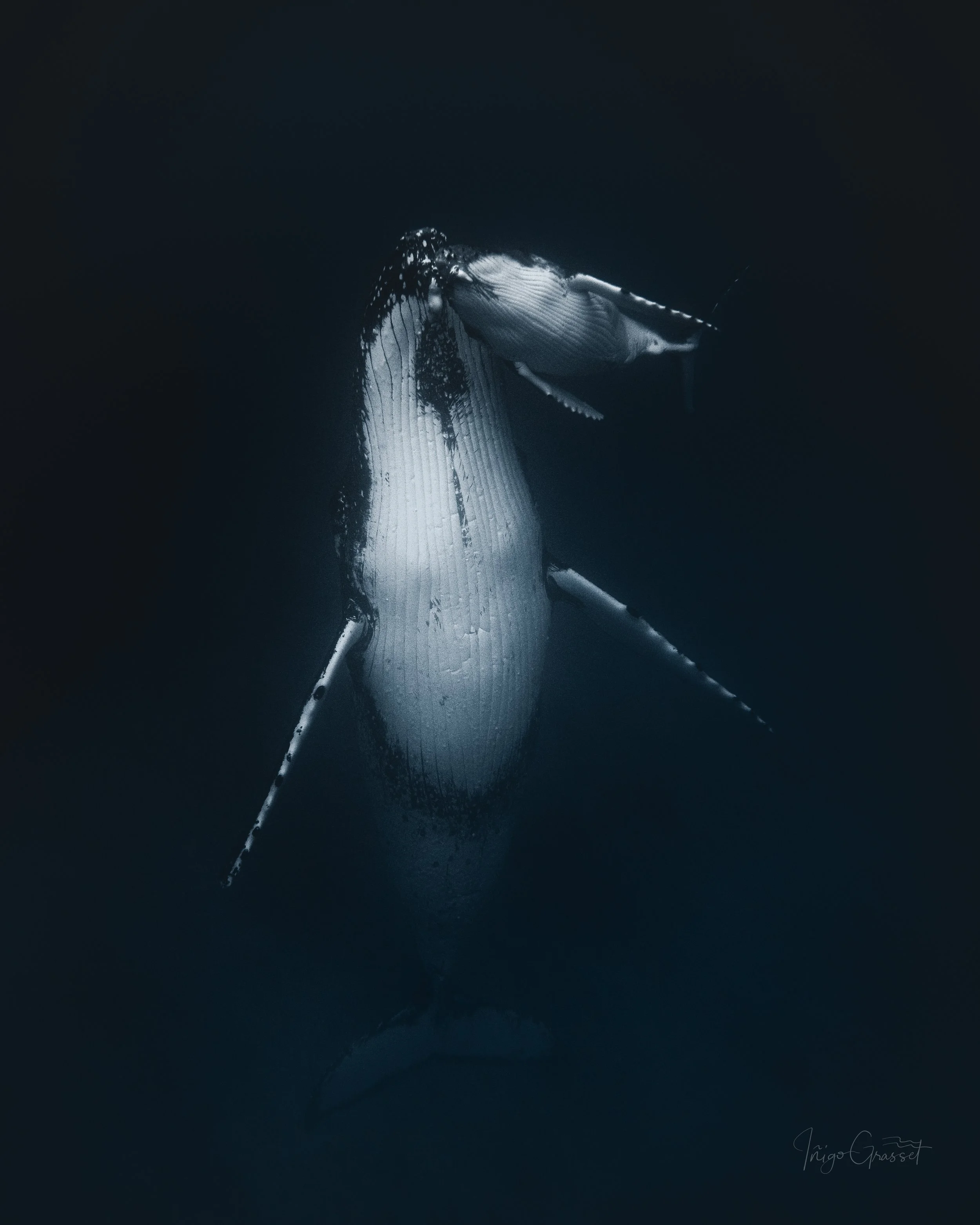 51.@igrassetphoto.jpg